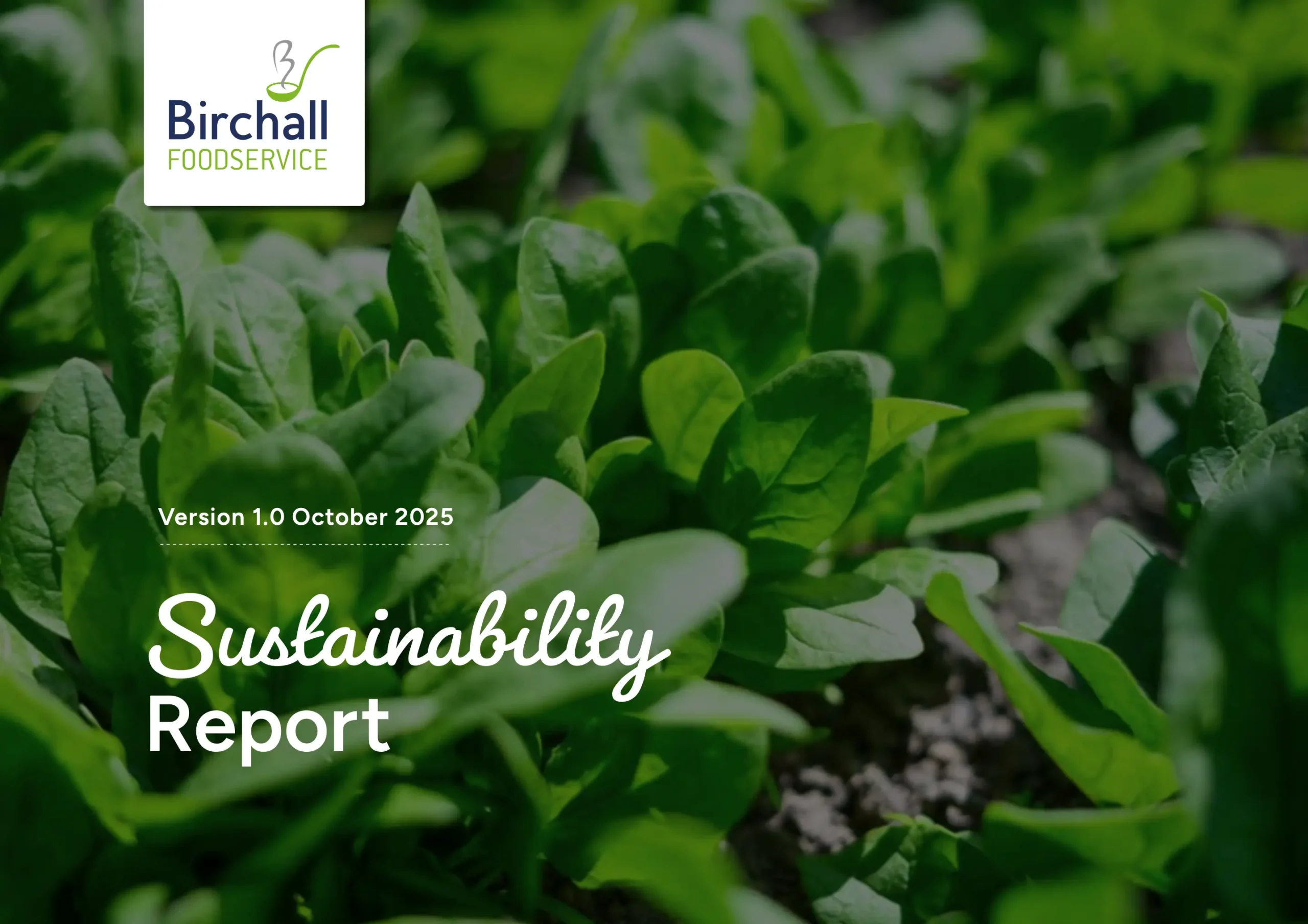 Report cover Oct 2025